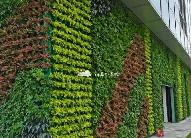 深圳植物墙