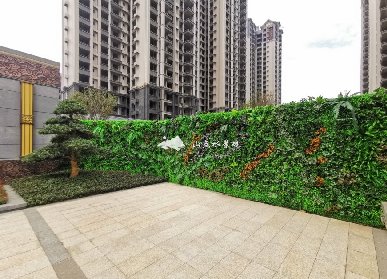 湛江植物墙