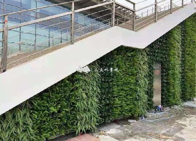 广交会展馆垂直绿化