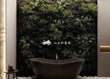 济南植物墙