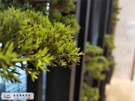 仿真榕树