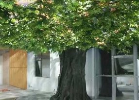 仿真树风水