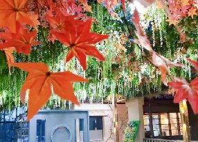 餐厅仿真植物吊顶