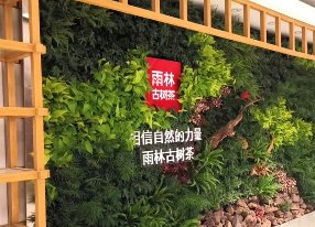形象植物墙