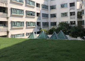 珠海闵宏学校屋顶绿化