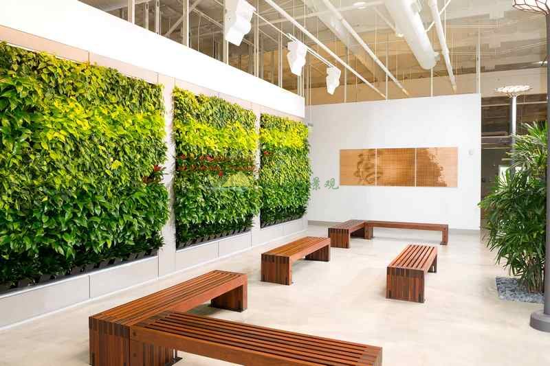 公装植物墙