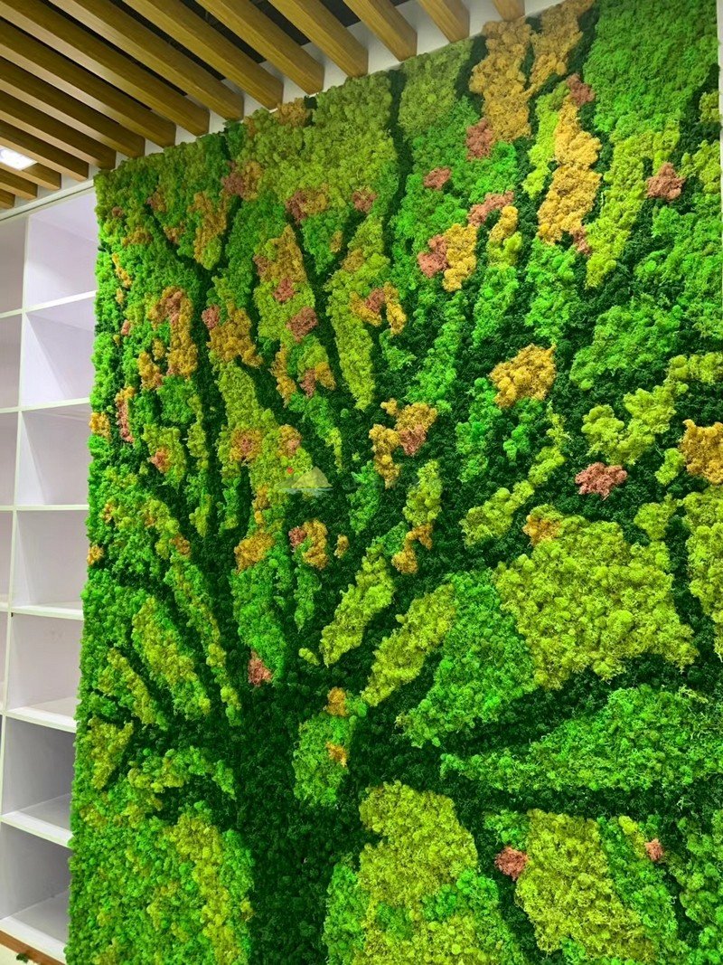 公司永生苔藓植物墙