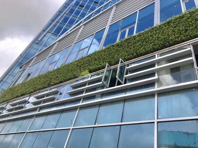 珠海华发大厦室外外墙植物墙