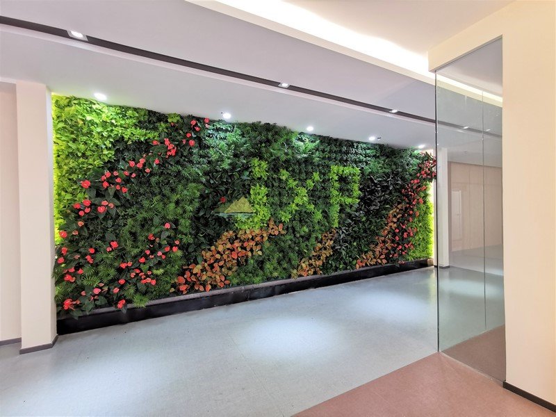 康建室内植物墙