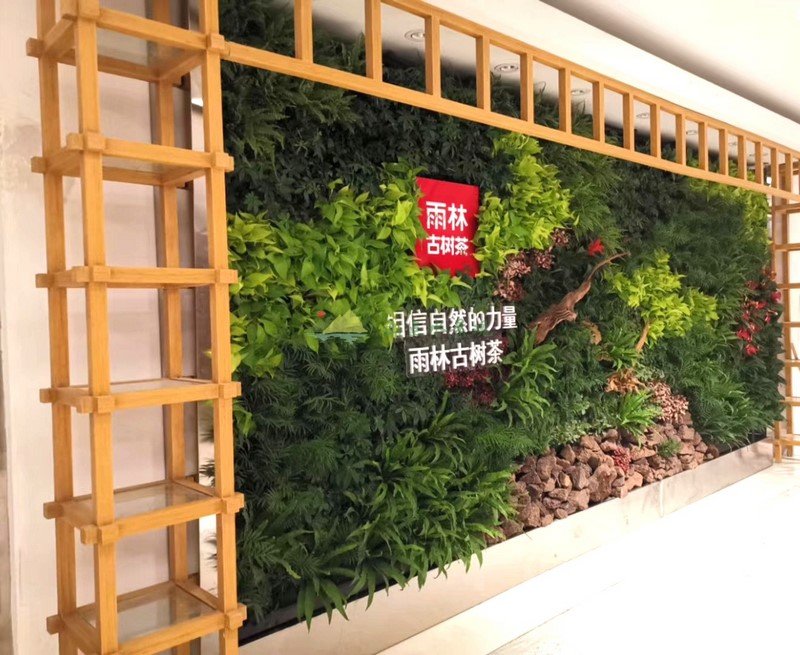 深圳雨林古树茶，形象植物墙