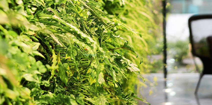 珠海某公司办公室会客大厅植物墙