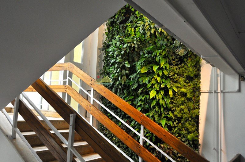 大厦办公室楼梯旁植物墙，天然的垂直花园风景