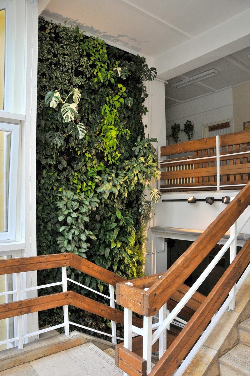 楼梯旁植物墙