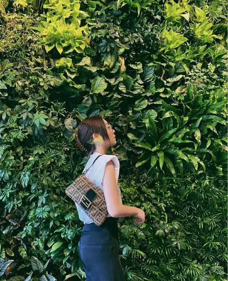 美女与植物墙