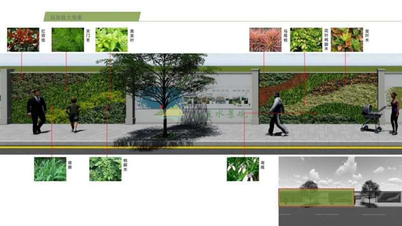 植物墙设计方案