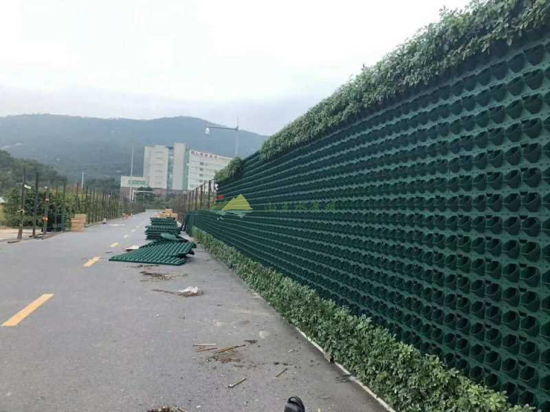 市政围挡植物墙