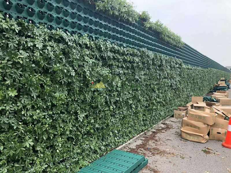 市政垂直绿化围挡景观围挡施工中