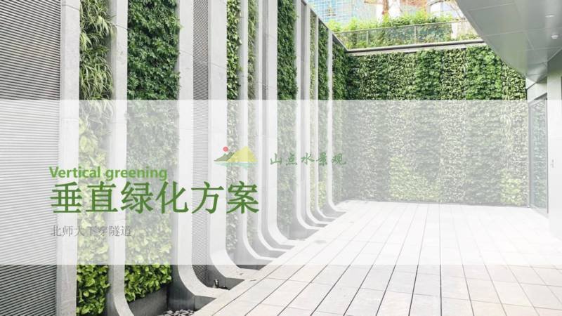 北师大隧道入口路面垂直绿化植物墙方案