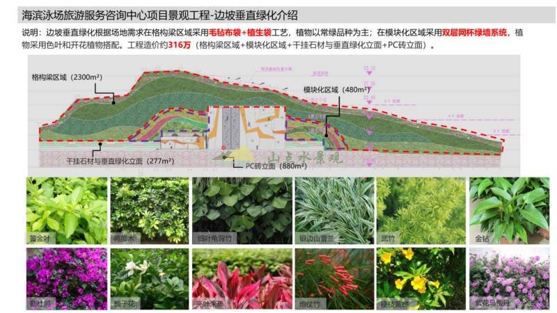 海滨泳场边坡垂直绿化设计施工方案