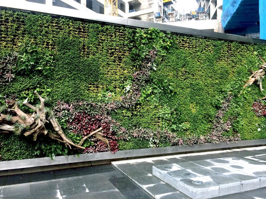 学校垂直绿化植物墙的意义有哪些