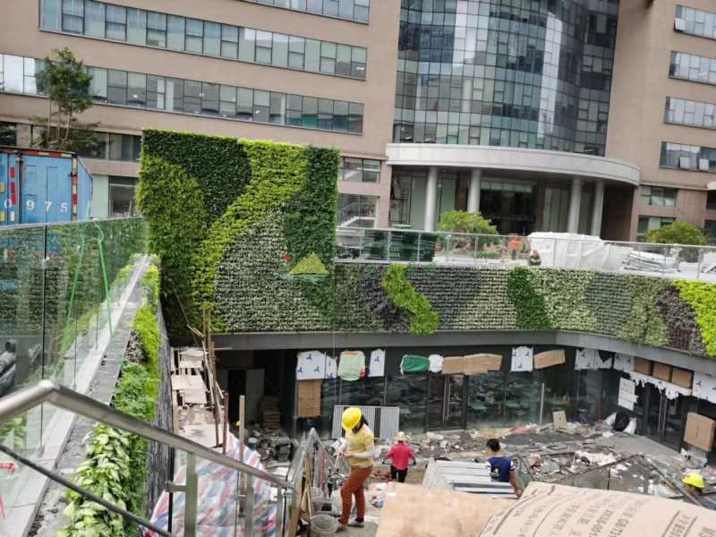 珠海优特汇室外垂直绿化植物上墙中