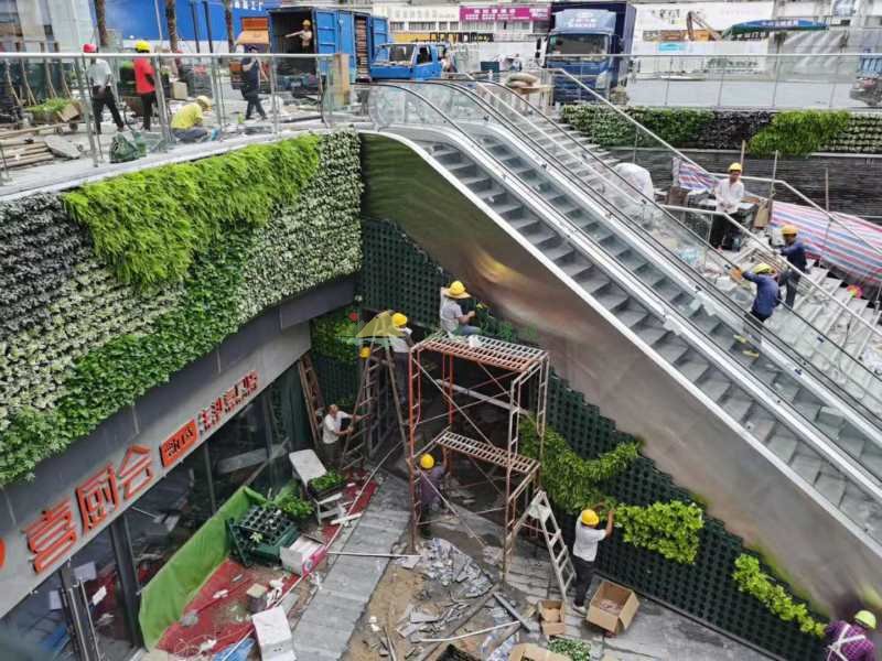 室外植物上墙