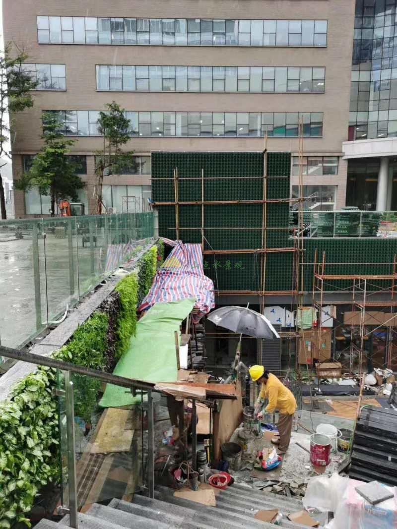 室外植物上墙