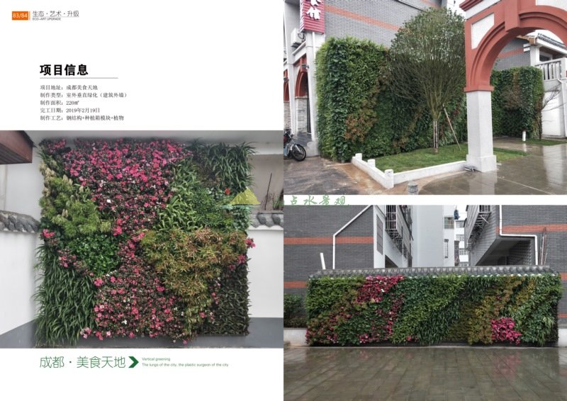 成都美食新天地户外植物墙