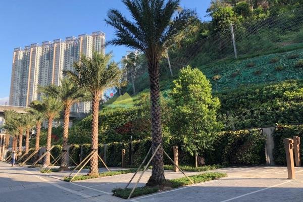 高速路边坡垂直绿化，展示城市建设形象
