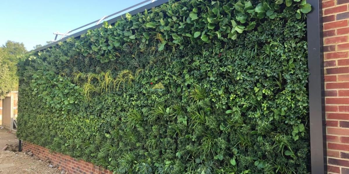 高级中学室外围墙围挡植物墙