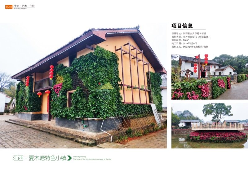 江西省吉安市夏木塘镇室外垂直绿化植物墙案例