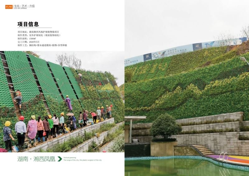 湖南湘西风凰护坡植物墙绿化项目