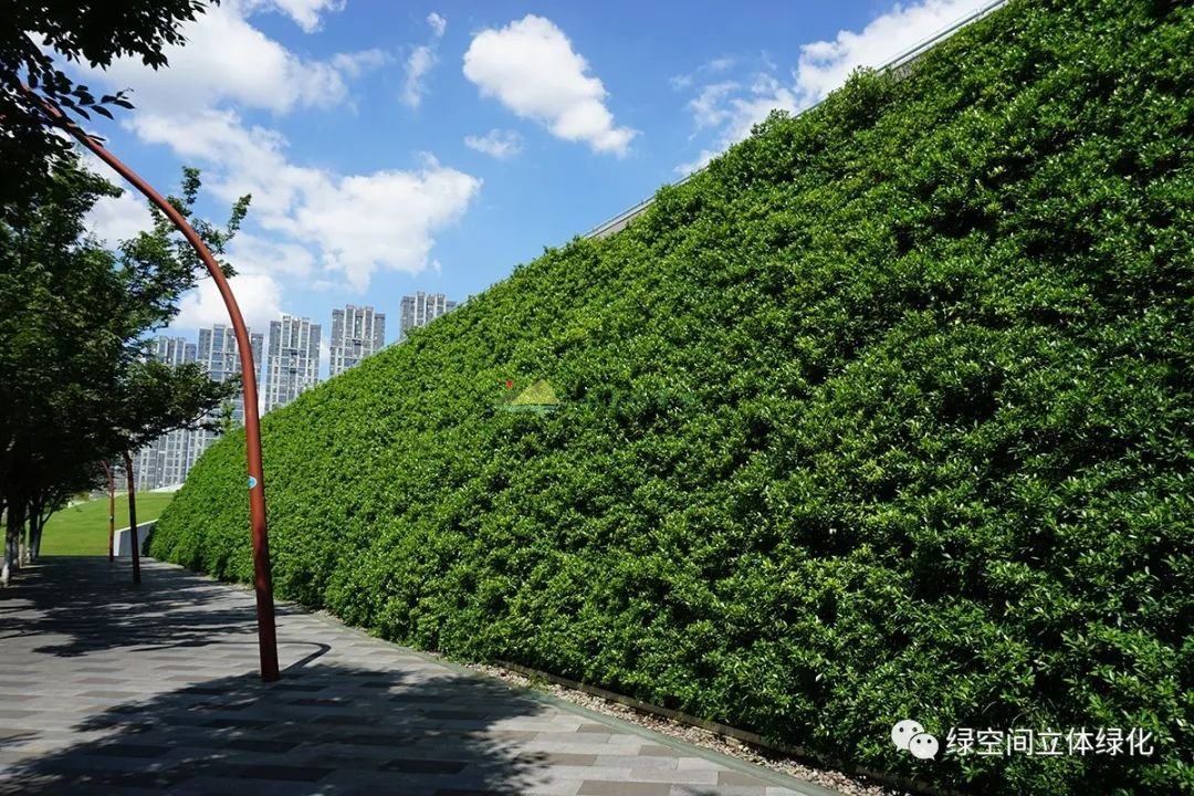 专题【四】漫谈种植毯植物墙的施工