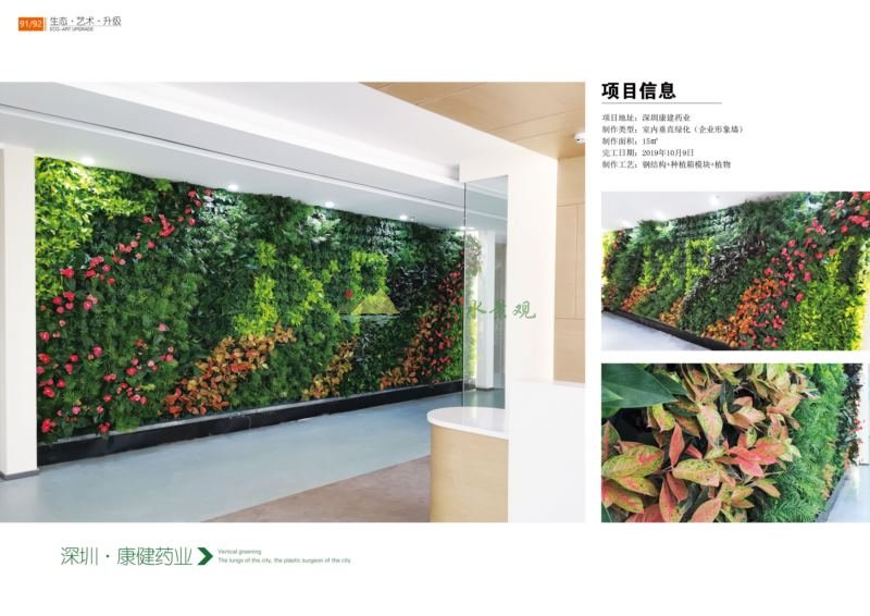 深圳康建药业企业形象墙植物墙