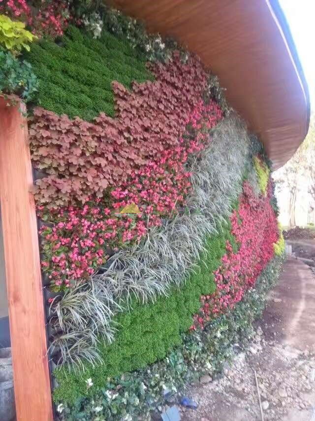 从零学植物墙（二）：植物墙应用范围