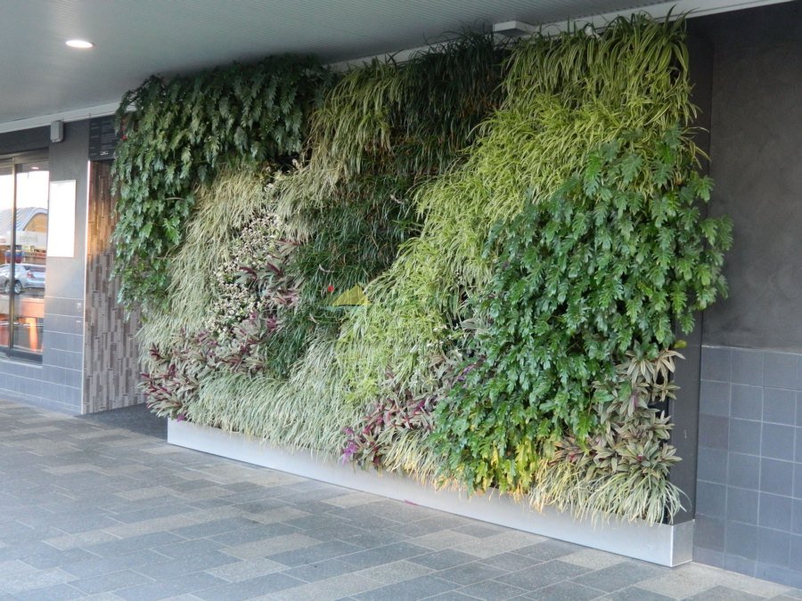 从零开始学植物墙（一）：植物墙涵义、发展史