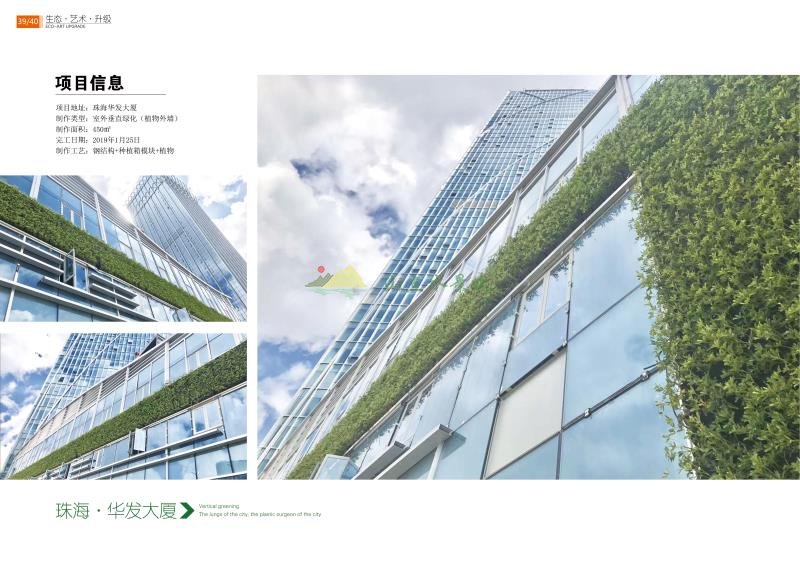 珠海华发大厦室外垂直绿化（植物外墙）