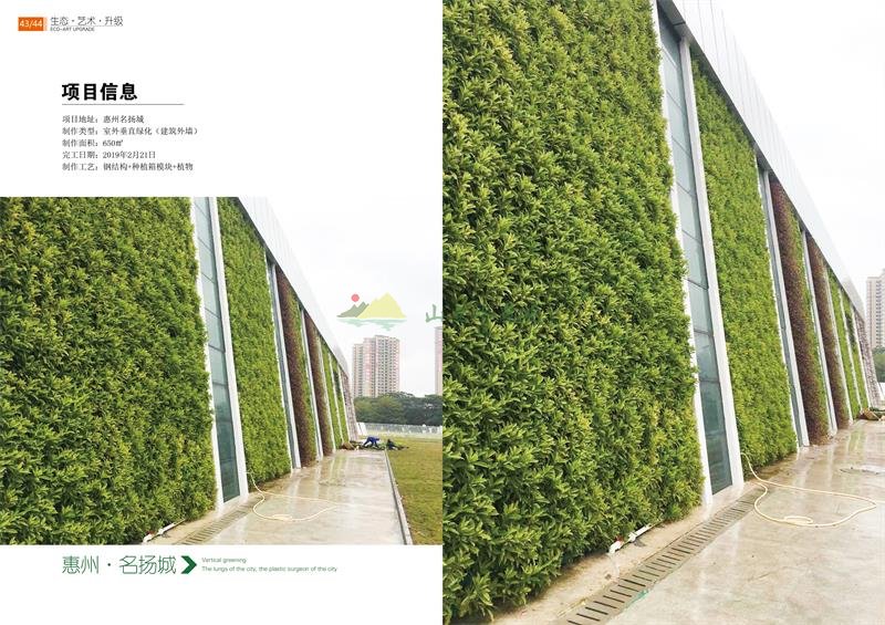 惠州名扬城室外垂直绿化植物墙