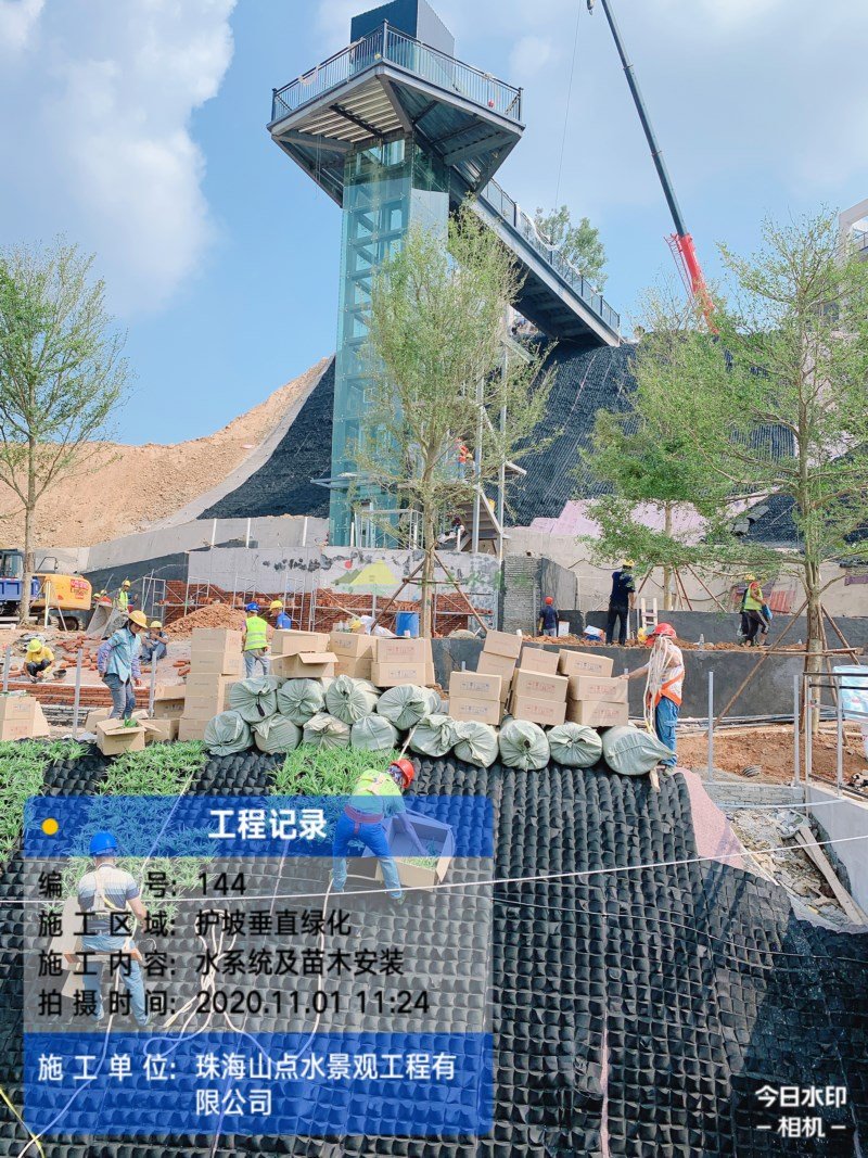广西梧州市大型护坡垂直绿化工程
