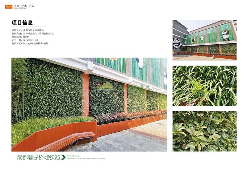 成都市磨子桥地铁站室外垂直绿化植物墙