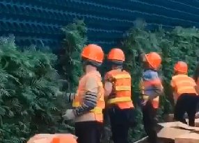 室外垂直绿化围挡