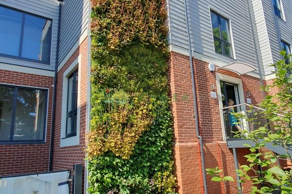 公寓外墙垂直绿化