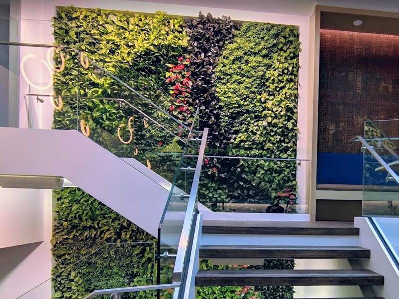 大学室内垂直绿化植物墙景观案例