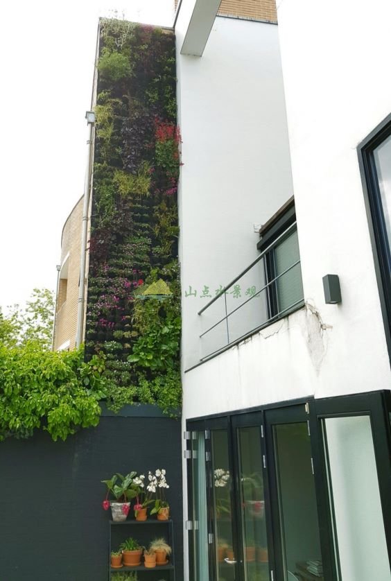 5个住宅建筑室外垂直绿化植物墙案例分享