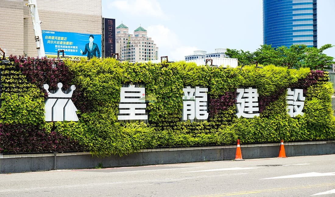 植物墙对城市绿化的优势