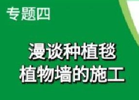 种植毯植物墙的施工