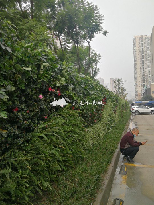 商业建筑垂直绿化