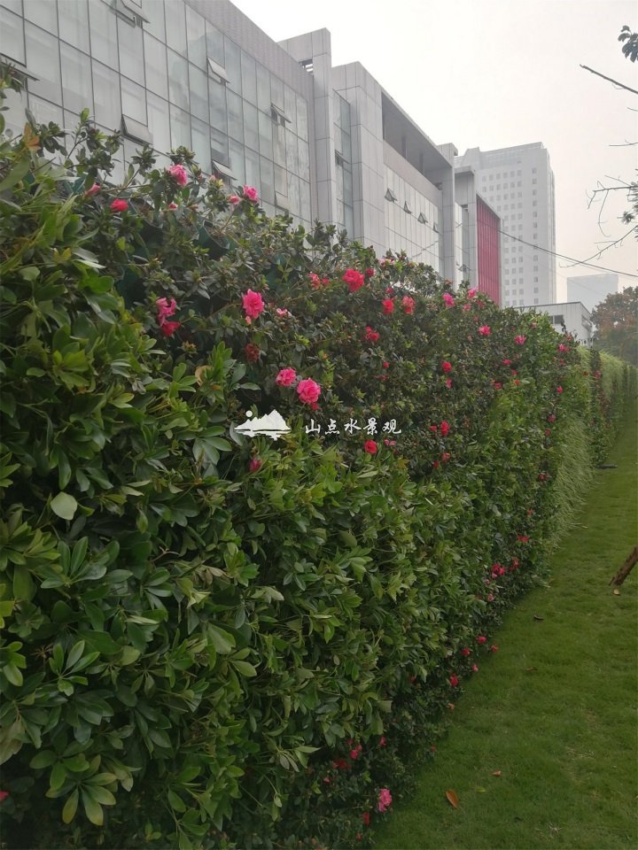 商业建筑垂直绿化