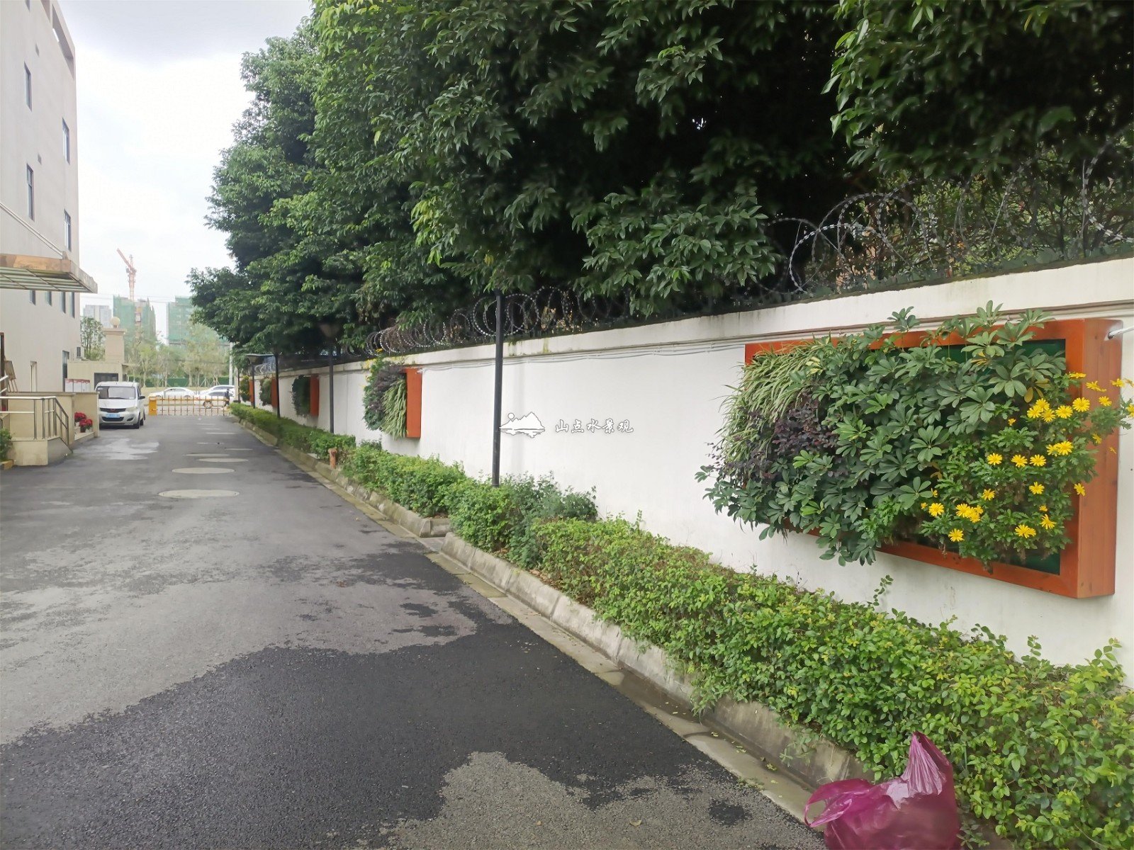 街道办事处垂直绿化，围墙处植物墙相框景观