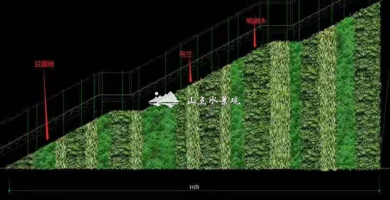 广交会展馆垂直绿化